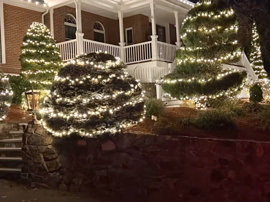 Residential holiday lights installation in New Hampshire